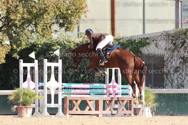 BARBAROSSA_TOPESIA_GIO CAV 2011_SS3_7567.jpg